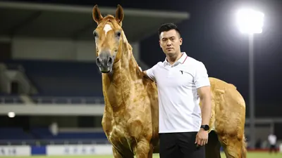 Morton Wellington has quickly established himself as a formidable presence in dog shows